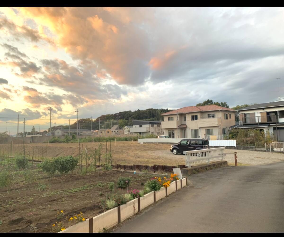 茅ヶ崎市 畑 1454㎡