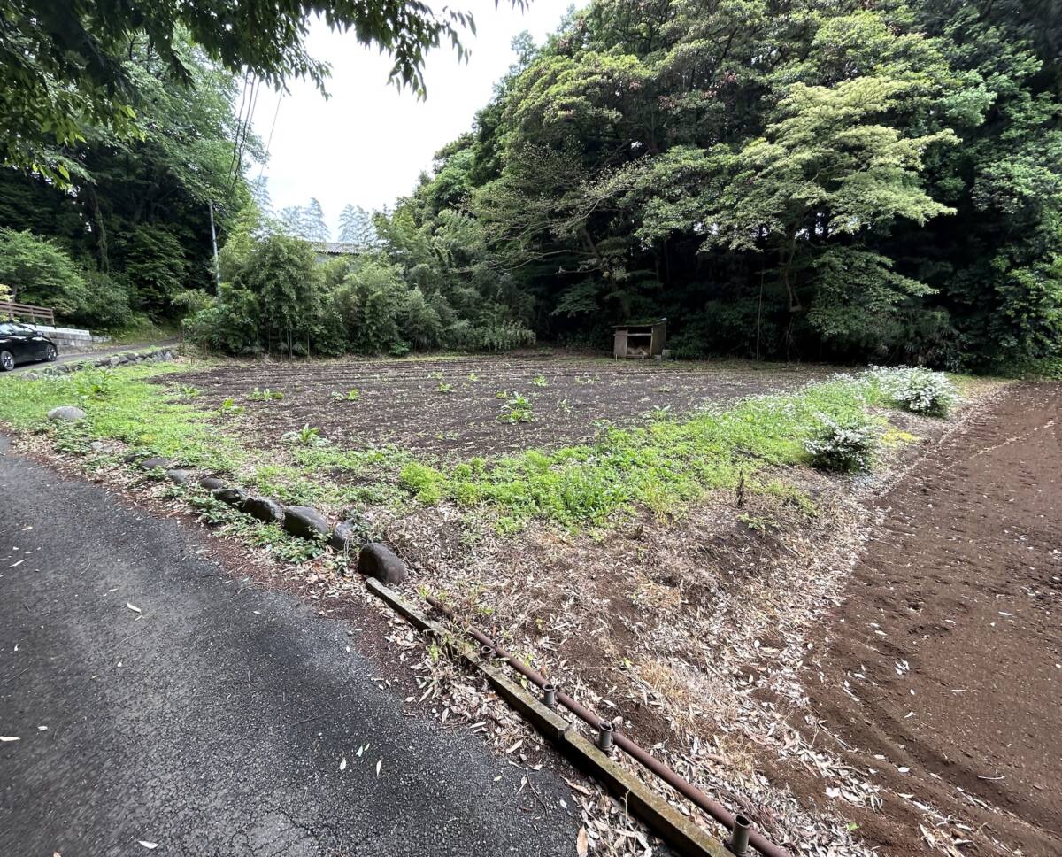 茅ヶ崎市 畑 980㎡